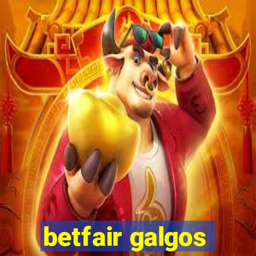 betfair galgos